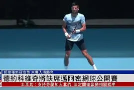 关于意大利网球队绝地反击德国网球队,德约科维奇绝境逆转的信息 关于意大利网球队绝地反击德国网球队,德约科维奇绝境逆转的信息